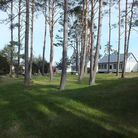 Homestay 1 *